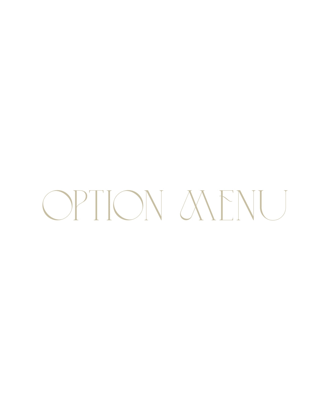 OPTION MENU（オプションメニュー）